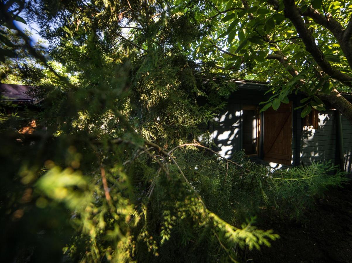 Enpi Lake Resort Iasi Luaran gambar